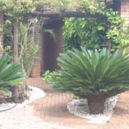 Cycas Guest House Malalane Dış mekan fotoğraf