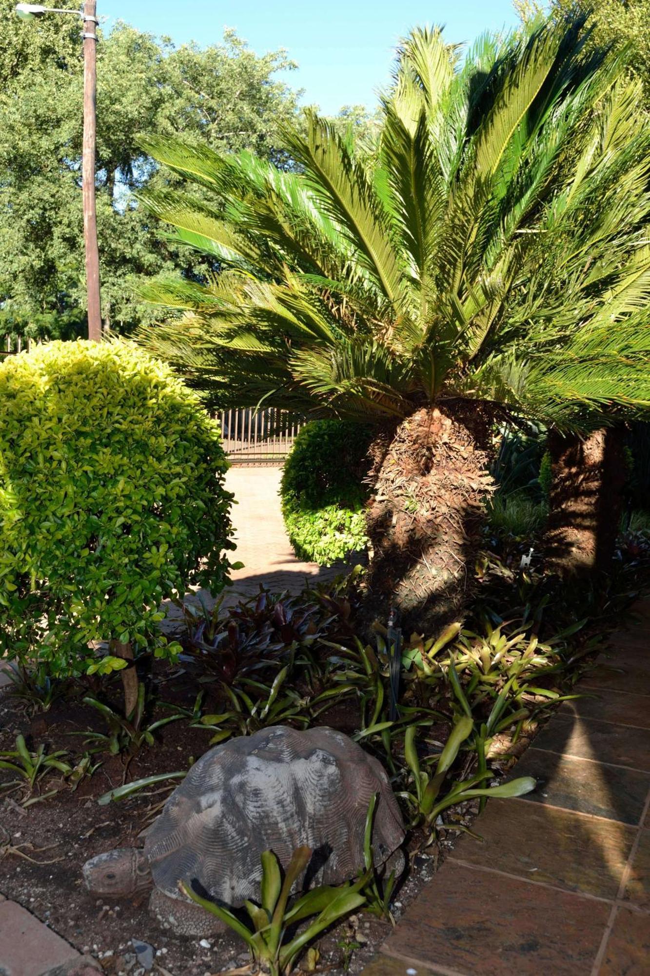 Cycas Guest House Malalane Dış mekan fotoğraf