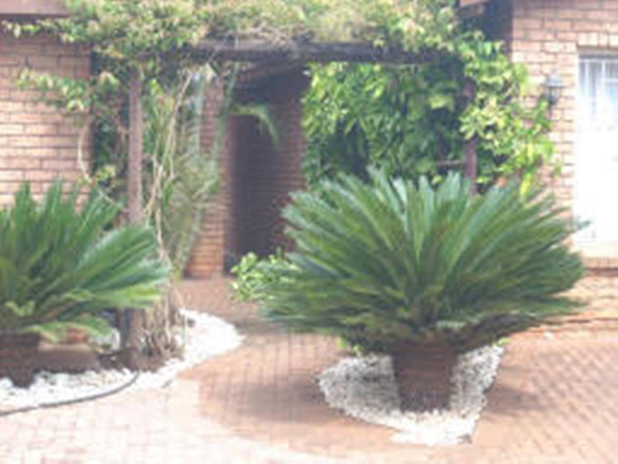 Cycas Guest House Malalane Dış mekan fotoğraf