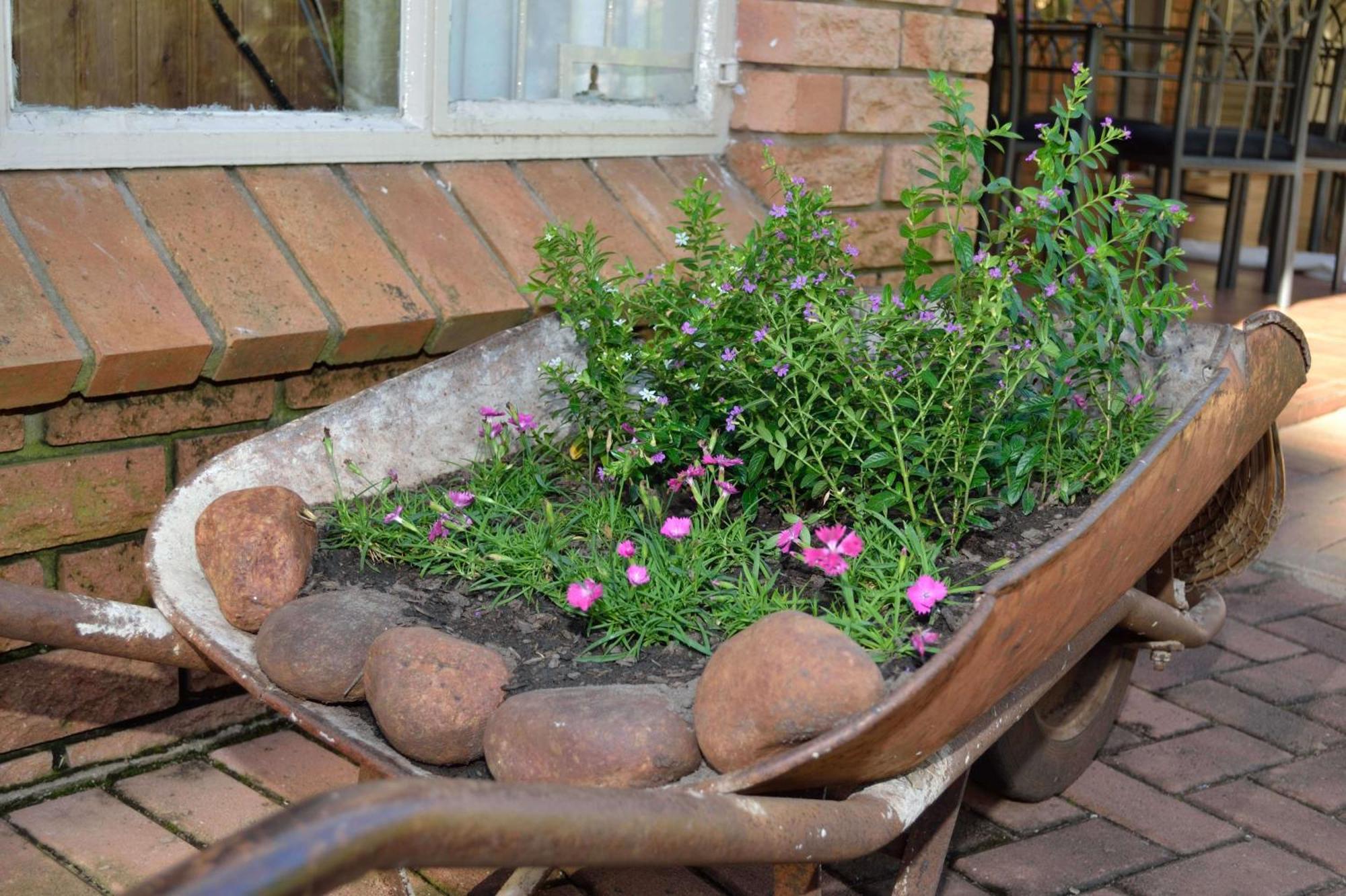 Cycas Guest House Malalane Dış mekan fotoğraf