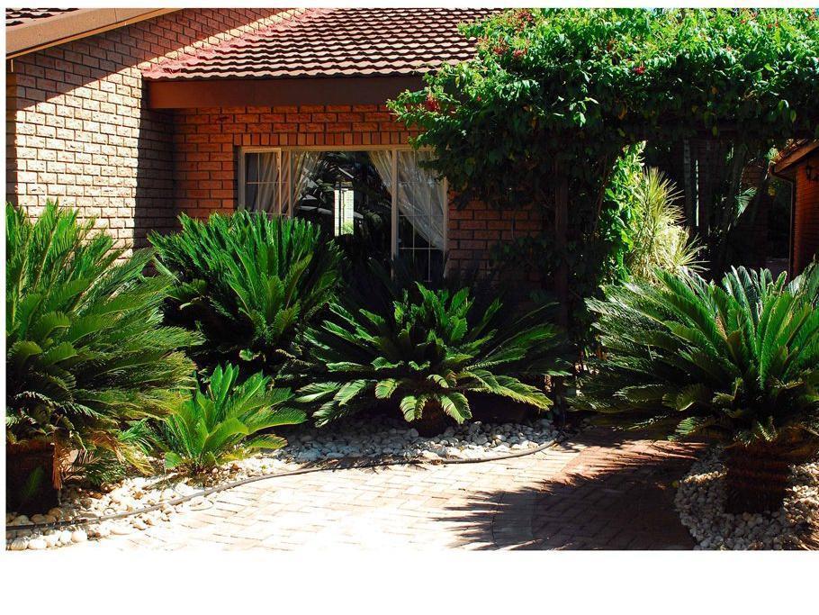 Cycas Guest House Malalane Dış mekan fotoğraf